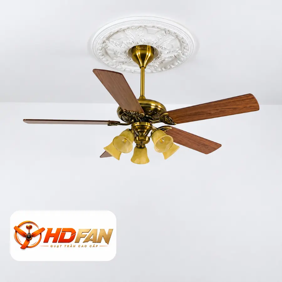 HDF-503