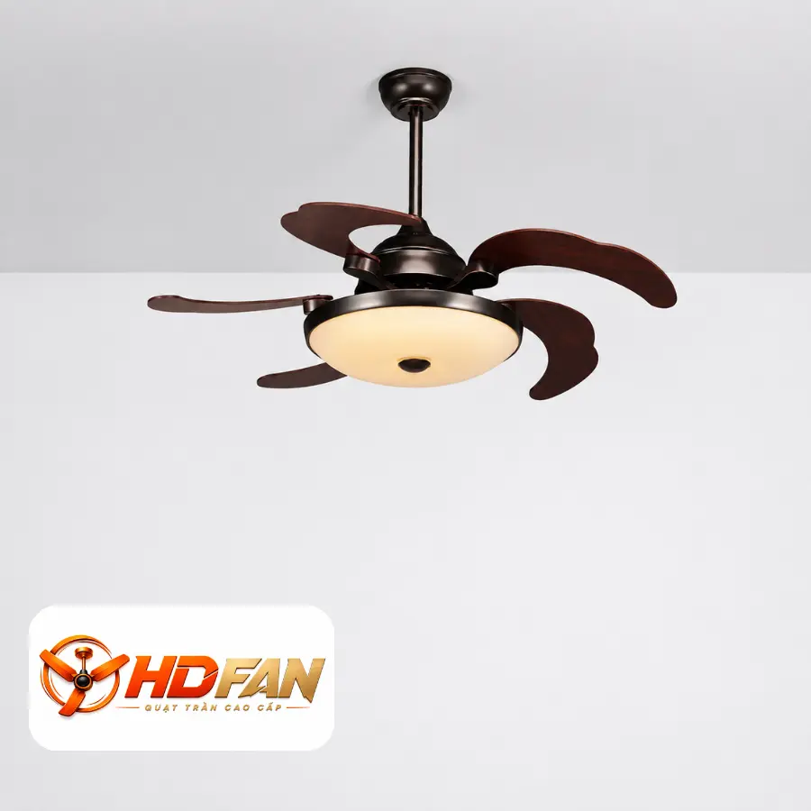 HDF-555
