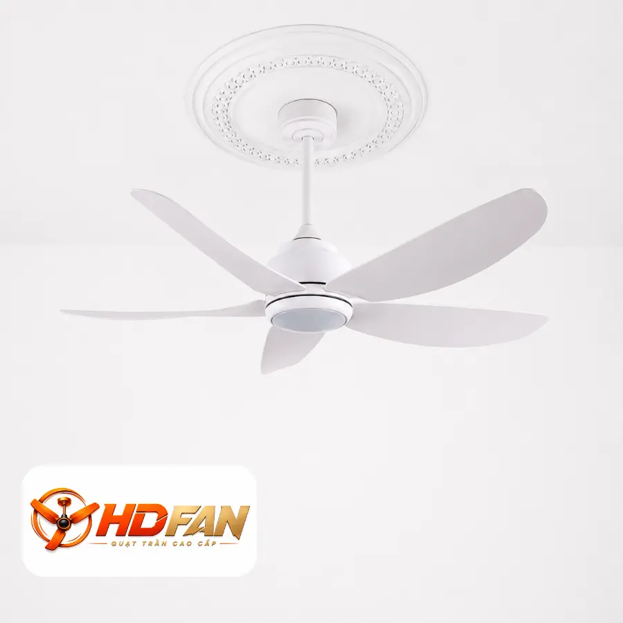 HDF-568/T