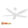 HDF-586/T