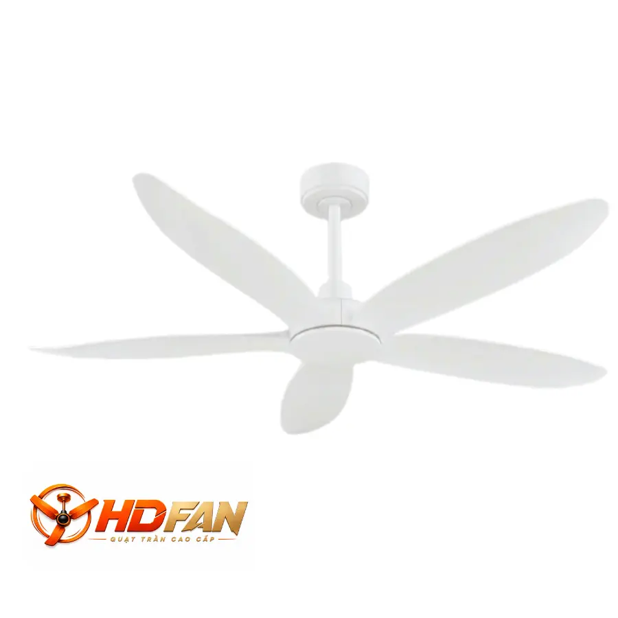 HDF-586/T
